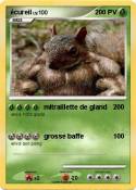 écureil