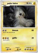 petite farine