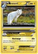 renard