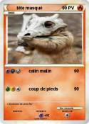 tête masqué tête masqué
