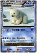 ours polaire