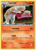 CHATON