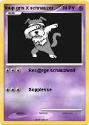 loup gris X