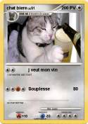 chat biere