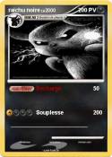 raichu noire