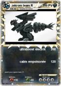 zekrom team R