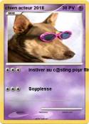 chien acteur 2018 chien acteur