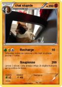 chat stupide