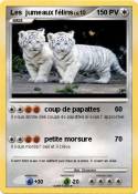 Les jumeaux