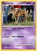 tosa inu mix