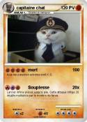 capitaine chat