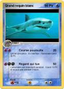 Grand requin
