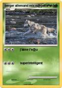 berger allemand mix n@ger le cr@w berger allemand
