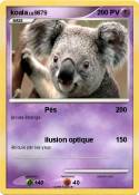 koala