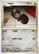 chaton