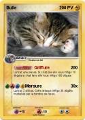 Bulle