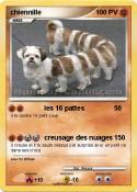 chiennille