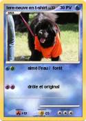 tere-neuve en