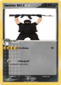 mertrier NIV.X