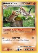 MININIJCAT