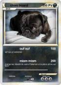 chien bizard