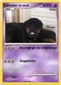 rottweiler et