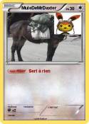 MuleDeMrDaxter