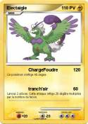Electaigle