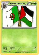 Algerie Palestine Algerie