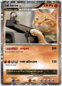 cat heros