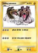 colley jumeaux