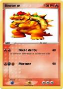 Bowser or