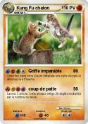 Kung Fu chaton