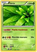 Planta