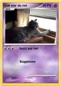 chat star du