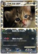 Chat trop mimi