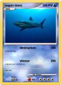 requin blanc
