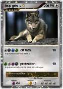 loup gris