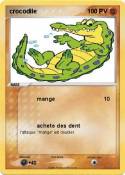 crocodile