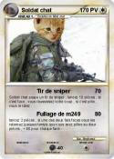 Soldat chat