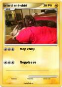 briard en
