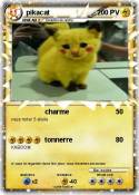 pikacat