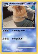 husky siberien en t-shirt husky siberien