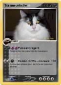 Scrameustache