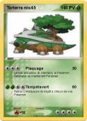 Torterra niv.45
