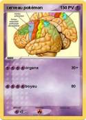 cerveau pokémon cerveau