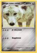 berger russe