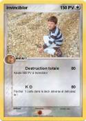 invinciblor