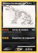 Skéleton the