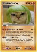 BOXING-CHAT ex